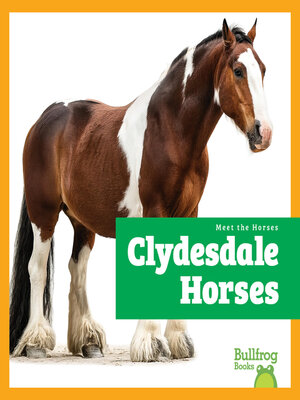cover image of Clydesdale Horses